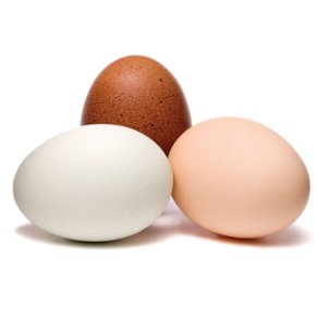 Gib niemals Eier in deine Mikrowelle Was du niemals in deine Mikrowelle geben darfst